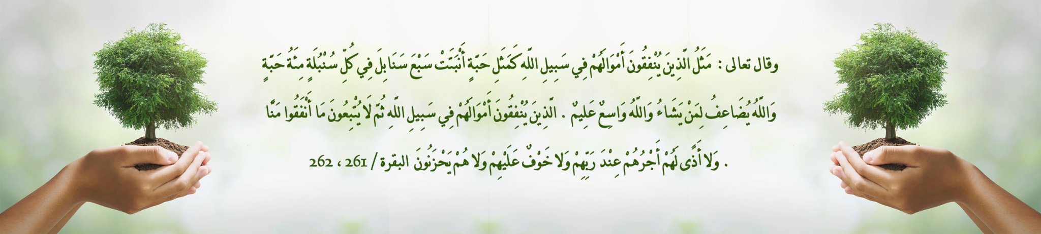 جمعية النورس للتنمية الإجتماعية